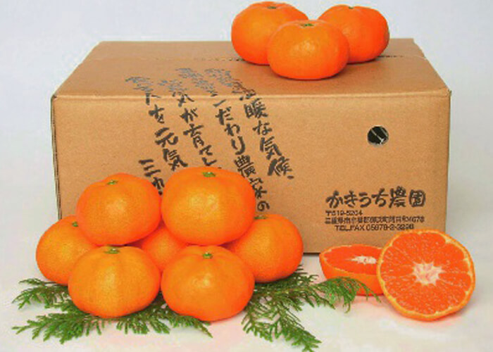 かきうち農園 紀州熊野みかん