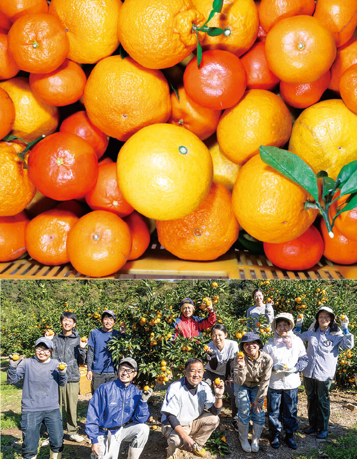 松菱百貨店 特選福袋2026