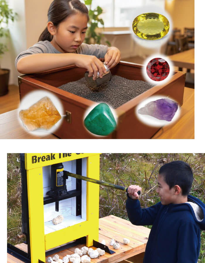 松菱百貨店 特選福袋2026