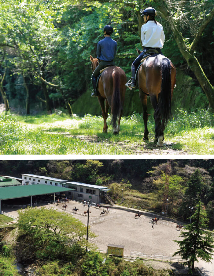 松菱百貨店 特選福袋2026