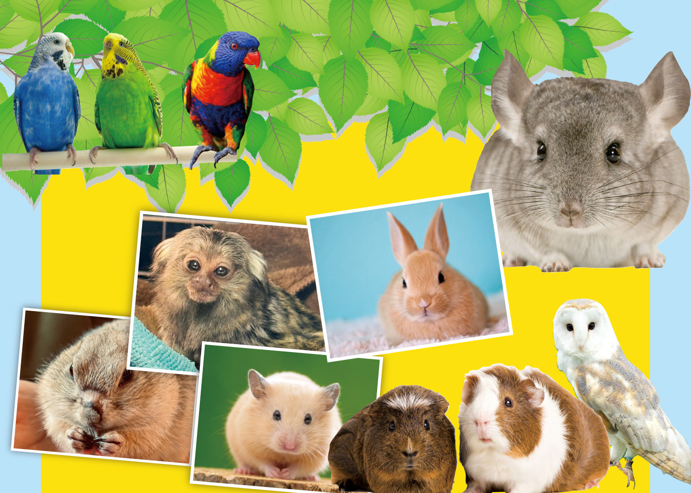 ふれあいどうぶつ大集合&カブトムシ展