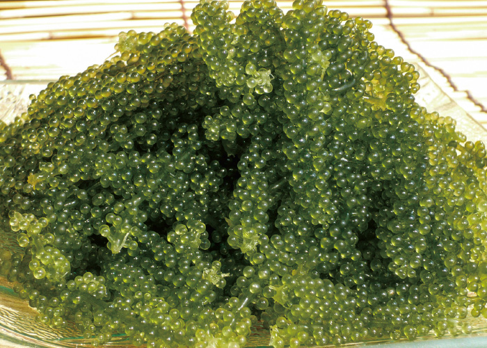 ［うるま］琉球特産販売 ちゅら島市場 沖縄展