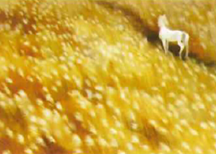 東山魁夷「芒野」 2026松菱秋の大美術祭